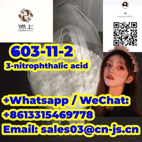 factory-direct-sales-603-11-2-3-nitrophthalic-acid-big-0