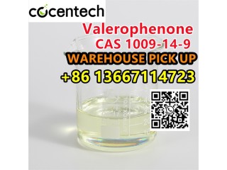 Factory Supply CAS 1009-14-9 Valerophenone Large Stock WA:+8613667114723