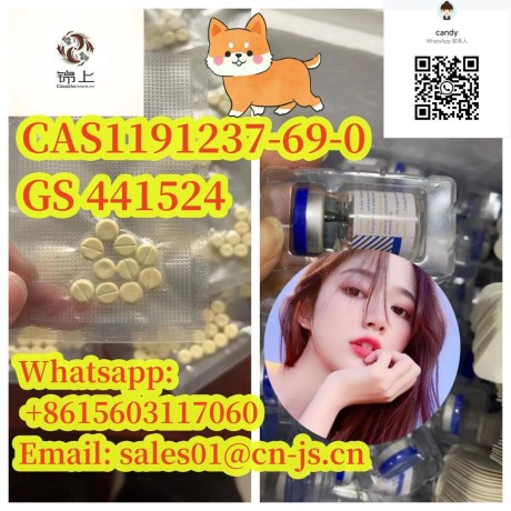 cat-medicine-cas1191237-69-0-gs-441524-big-0