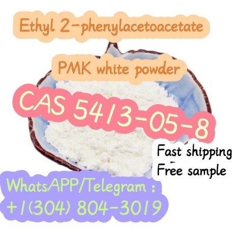 ethyl-2-phenylacetoacetate-pmk-white-powder-cas-5413-05-8-big-0