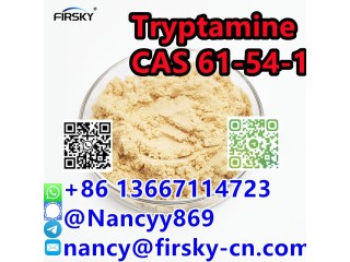 Factory Supply 99% Purity API Raw Material Powder CAS 61-54-1 Tryptamine