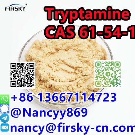 factory-supply-99-purity-api-raw-material-powder-cas-61-54-1-tryptamine-big-0