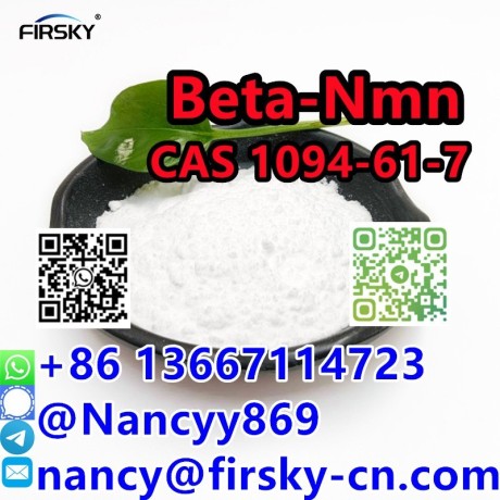 wa86-13667114723-high-quality-cas-1094-61-7-beta-nicotinamide-mononucleotide-99-nmn-big-1