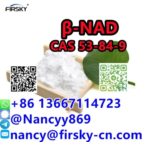 wa86-13667114723-cas-53-84-9-wholesale-bulk-nicotinamide-adenine-dinucleotide-nad-for-sale-big-0