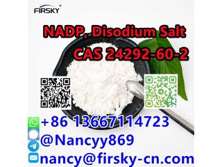 +86 13667114723 China β-Nicotinamide Adenine Dinucleotide Phosphate Disodium Salt Cas: 24292-60-2