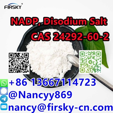 86-13667114723-china-v-nicotinamide-adenine-dinucleotide-phosphate-disodium-salt-cas-24292-60-2-big-0