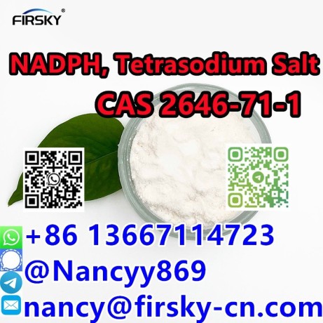 wa86-13667114723-dihydronicotinamide-adenine-dinucleotide-pphosphate-tetrasodium-salt-2646-71-1-purity-99-big-1