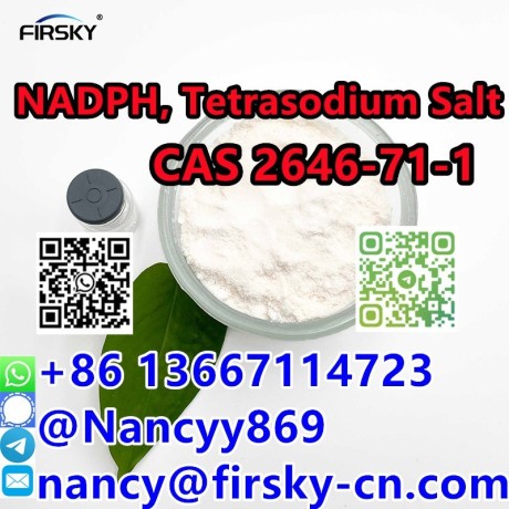 wa86-13667114723-dihydronicotinamide-adenine-dinucleotide-pphosphate-tetrasodium-salt-2646-71-1-purity-99-big-2