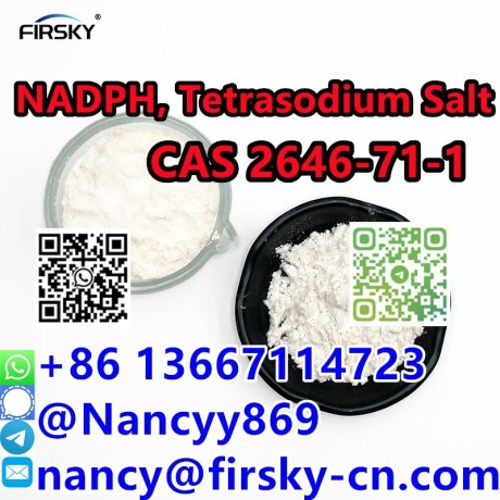 wa86-13667114723-dihydronicotinamide-adenine-dinucleotide-pphosphate-tetrasodium-salt-2646-71-1-purity-99-big-0