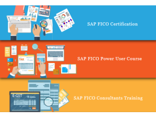 SAP FICO Coaching in Delhi,  Preet Vihar, SLA SAP Learning Tutorial Learning, SAP Hana Finance, GST Training Certification,