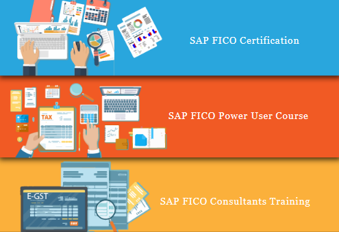 sap-fico-coaching-in-delhi-preet-vihar-sla-sap-learning-tutorial-learning-sap-hana-finance-gst-training-certification-big-0