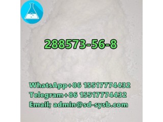 288573-56-8 1-BOC-4-(4-FLUORO-PHENYLAMINO)-PIPERIDINE	Hot Selling in stock	G1