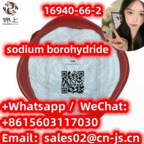 hot-selling-sodiumborohydride-16940-66-2-big-0