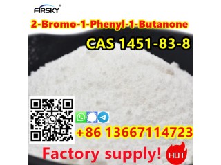 High quality 2-Bromo-1-Phenyl-1-Butanone CAS 1451-83-8 (WA:+86 13667114723)