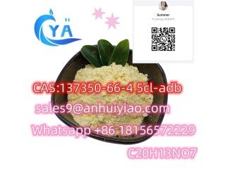 CAS137350-66-4 5cl-adb