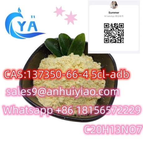 cas137350-66-4-5cl-adb-big-1