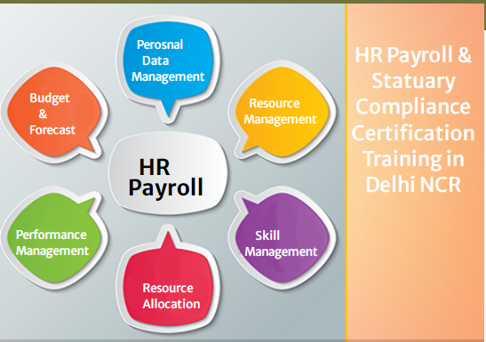 hr-payroll-course-in-laxmi-nagar-delhi-best-diwali-offer-100-job-free-demo-classes-big-0