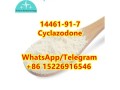 14461-91-7-free-sample-e3-small-0