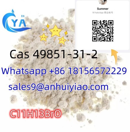 cas-49851-31-2-big-0