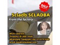 precursor-hot-selling-with-free-recipe-5cladba-adbb-small-1