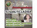 precursor-hot-selling-with-free-recipe-5cladba-adbb-small-2