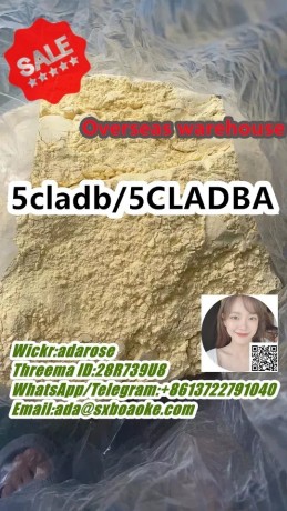 precursor-hot-selling-with-free-recipe-5cladba-adbb-big-0