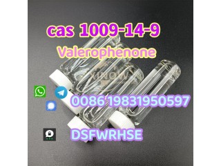 Valerophenone CAS 1009149 Manufacturer Direct Supply with Good Price