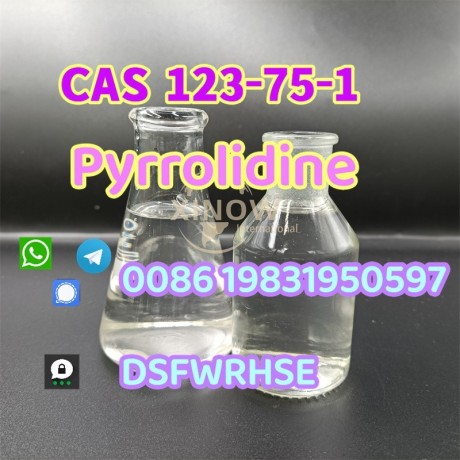 pyrrolidine-cas-123-75-1-49851-31-2-big-0