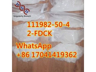 2-FDCK 2fdck 111982-50-4	Overseas warehouse	t4