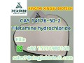 strong-14176-50-2-tiletamine-hydrochloride-with-best-price-small-0