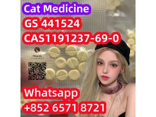 Pet Medicine CAS1191237-69-0 GS 441524