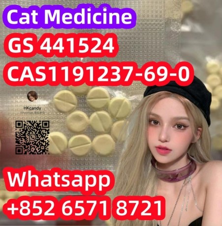 pet-medicine-cas1191237-69-0-gs-441524-big-0