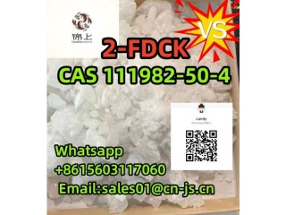 Manufacturer supply 2-FDCK 111982-50-4