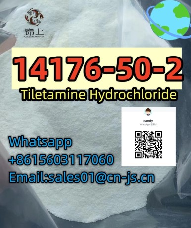 most-popular-14176-50-2tiletamine-hydrochloride-big-0