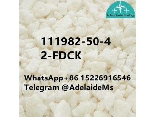 2-FDCK 2fdck 111982-50-4	High quality supplier in China	t4