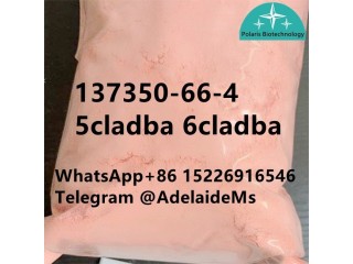 5cl adba 6CL 137350-66-4	High quality supplier in China	t4