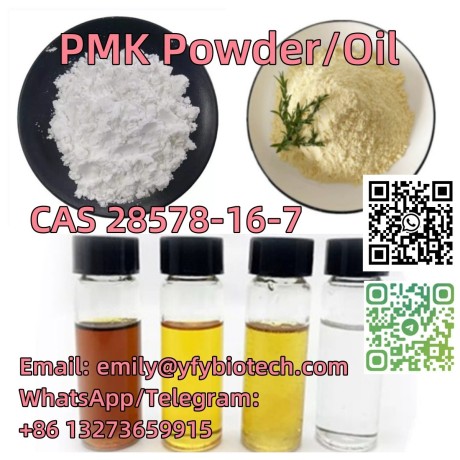 cas-28578-16-7-pmk-powder-ethyl-glycidate-pmk-oil-big-0