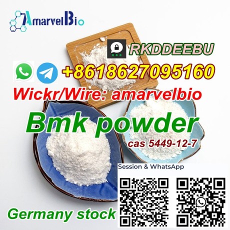 holland-warehouse-bmk-powder-bmk-glycidic-acid-sodium-salt-cas-5449-12-7-big-1