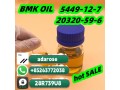 bmk-oil-5449-12-7-20320-59-6-hot-sale-small-2