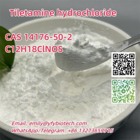 tiletamine-hydrochloride-c12h18clnos-cas-14176-50-2-big-0