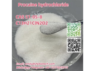 Procaine hydrochloride C13H21ClN2O2 CAS 51-05-8