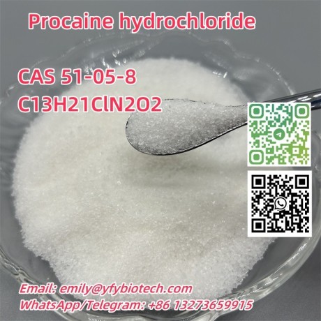 procaine-hydrochloride-c13h21cln2o2-cas-51-05-8-big-0