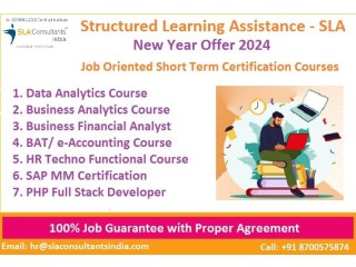 Data Analytics Course in Noida 100% Job SLA Institute