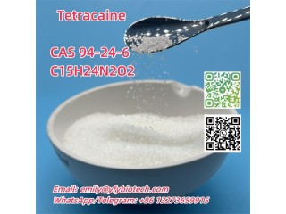 Tetracaine C15H24N2O2 CAS 94-24-6