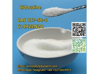 Lidocaine C14H22N2O CAS 137-58-6