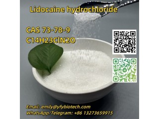 Lidocaine hydrochloride C14H23ClN2O CAS 73-78-9