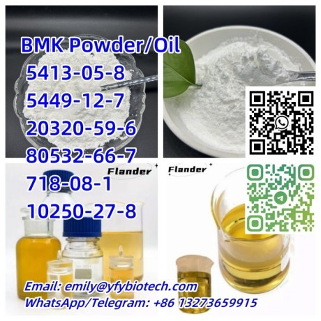 bmk-powder-bmk-oil-bmk-glycidic-acid-sodium-salt-cas-5449-12-7-big-0