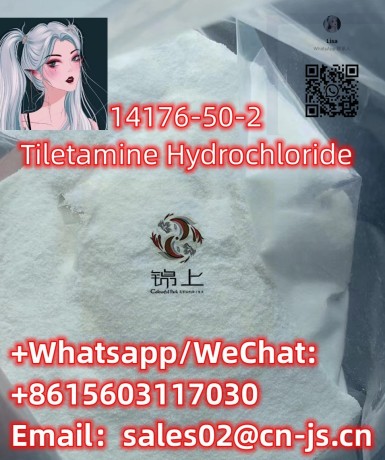 hot-selling-tiletamine-hydrochloridecas14176-50-2-big-0