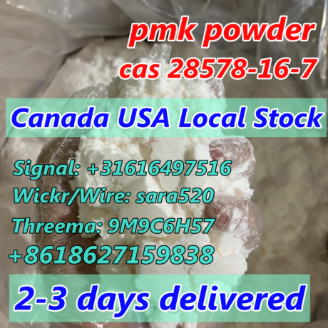 pick-up-from-canada-usa-pmk-oil-pmk-powder-cas-28578-16-7-pmk-wax-big-0