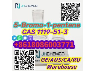 Factory Supply CAS 1119-51-3  5-Bromo-1-pentene Whatsapp+8618086003771